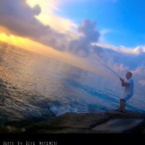 Meet your Posher, Shawn